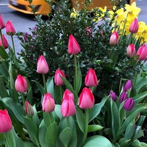 Meet your Posher, Rubina